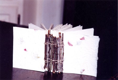 Twig Book